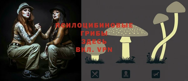шишки Кукмор