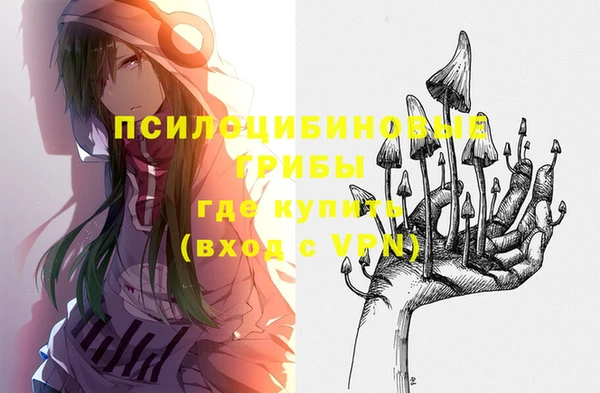 шишки Кукмор