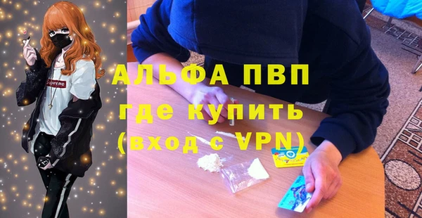 шишки Кукмор
