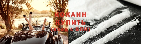 шишки Кукмор
